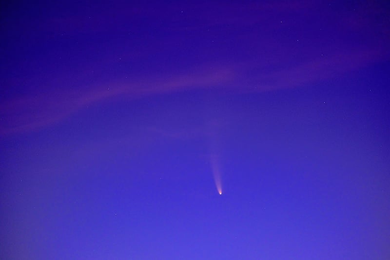 Comet Interceptions